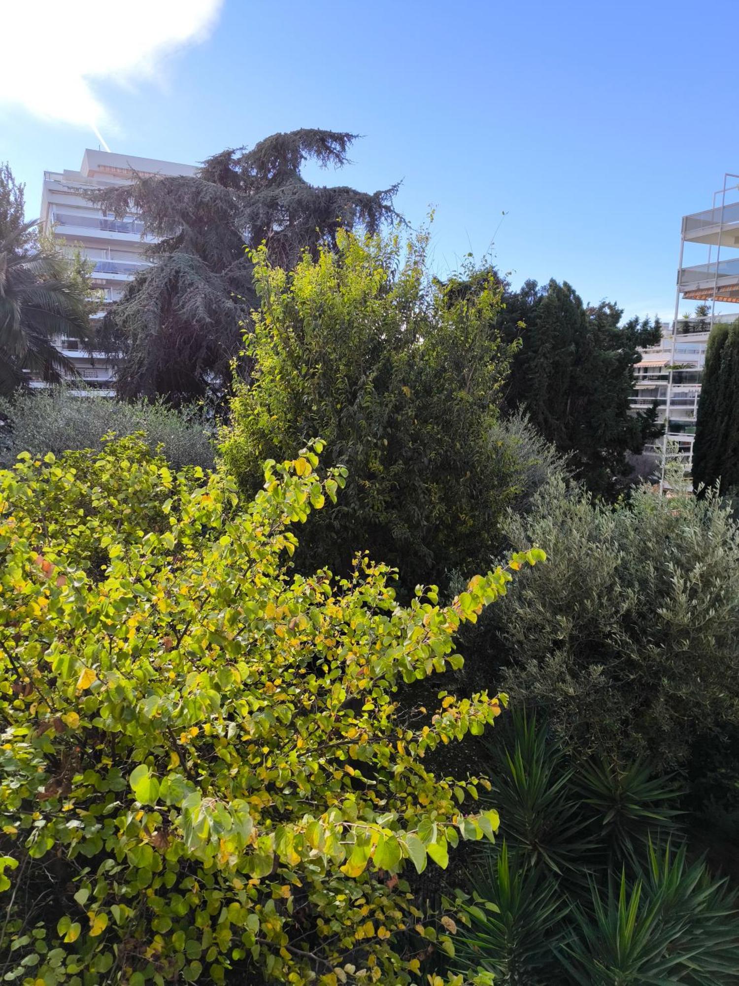 Seli 2 Pieces Classe 52 M2 Terrasse 20m2 Plages Piscine Juan Parking Appartement