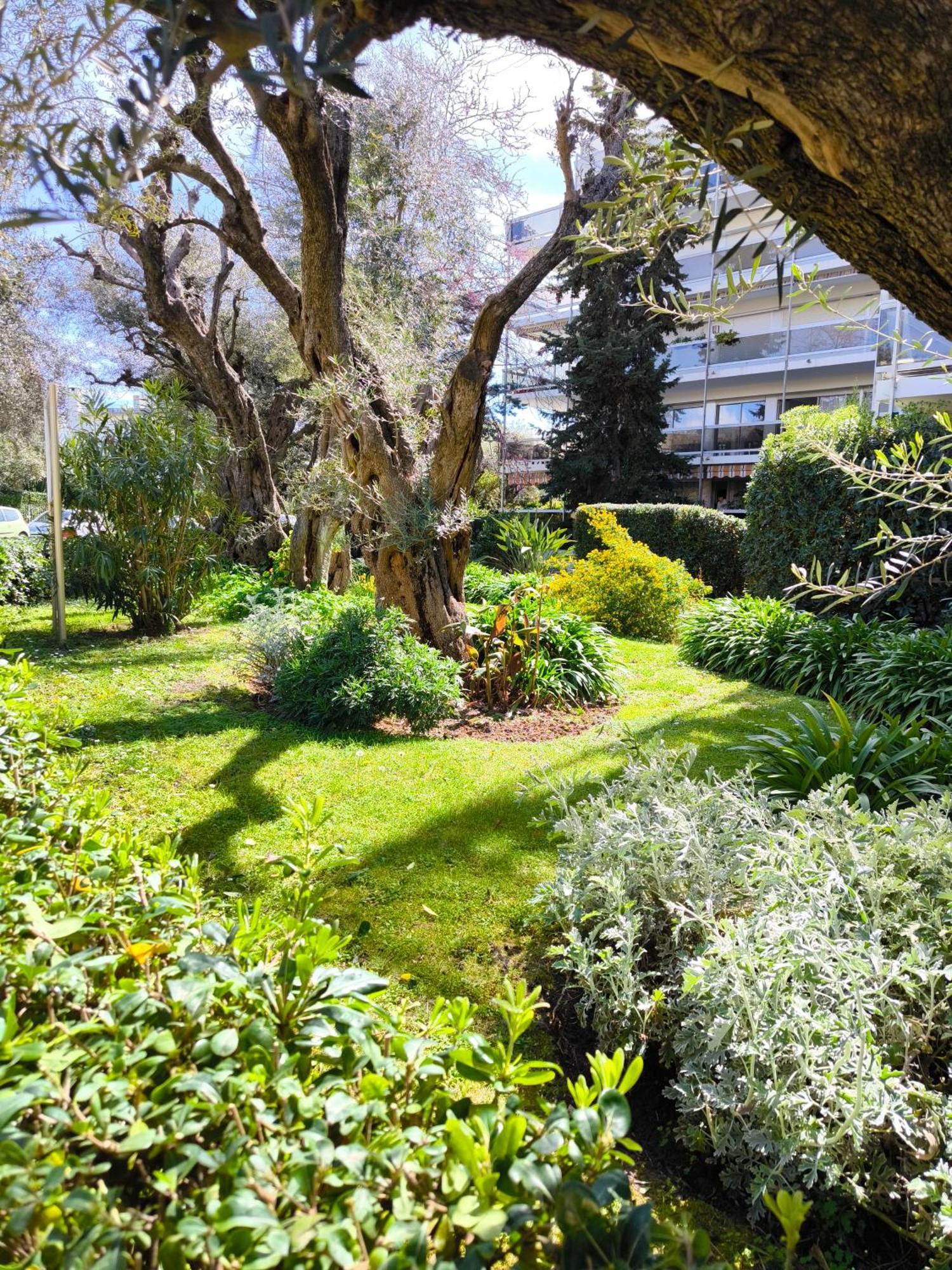 Appartement Seli 2 Pieces Classe 52 M2 Terrasse 20m2 Plages Piscine Juan Parking